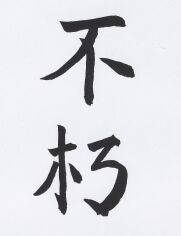 JT-CZ Nr. 95 Bu Shio - Ewigkeit.jpg